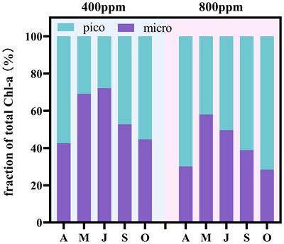 Impact of ocean acidification on microzooplankton grazing dynamics